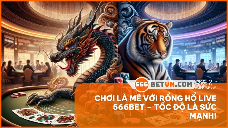 Rồng Hổ live