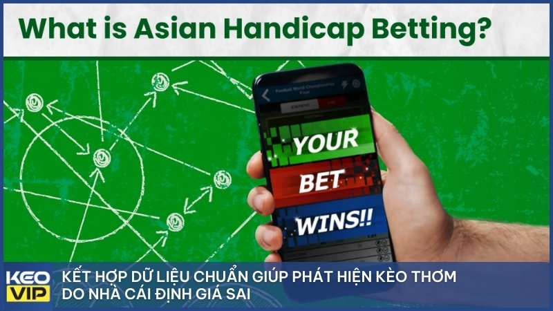 Kết hợp dữ liệu chuẩn giúp phát hiện kèo thơm do nhà cái định giá sai.